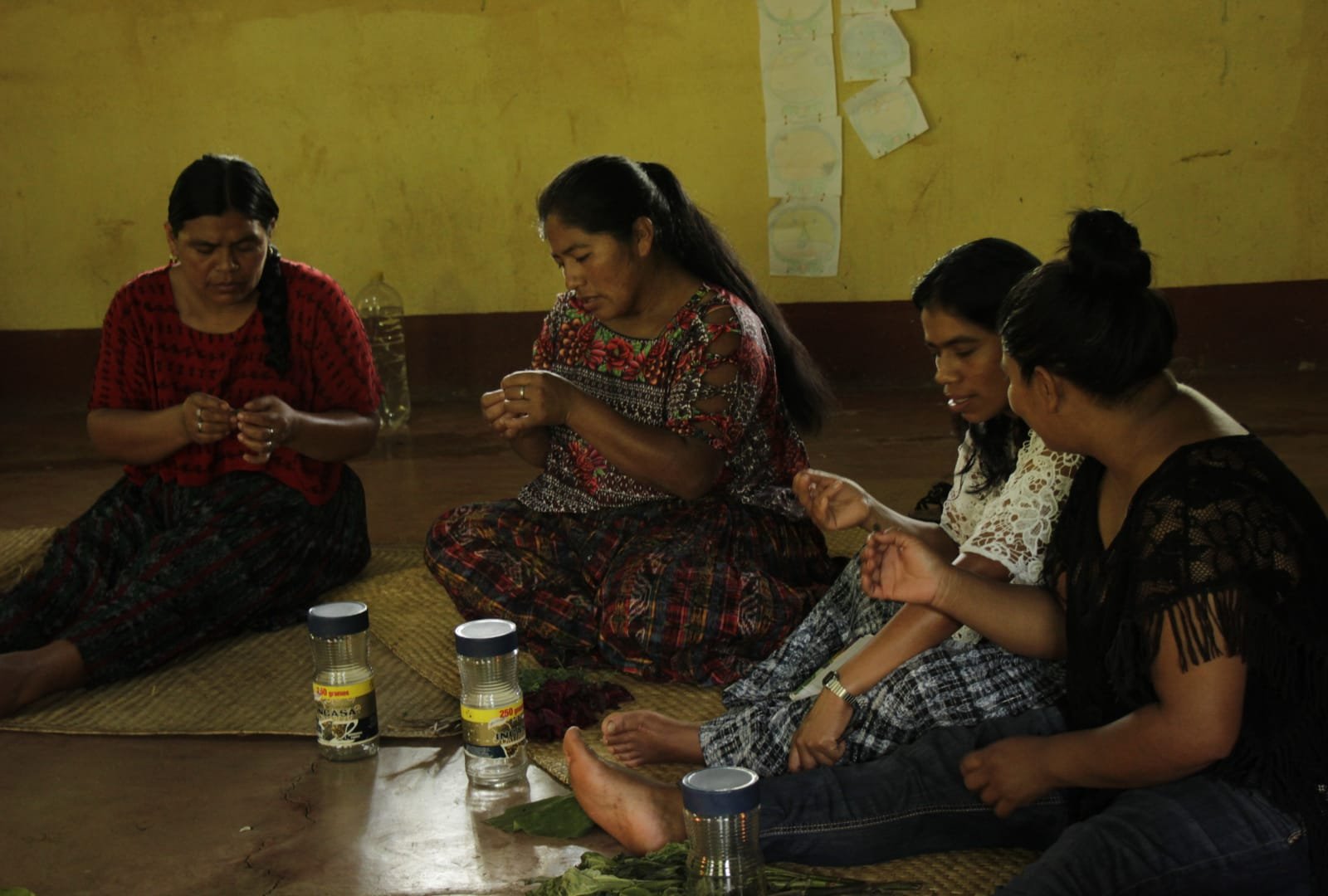  Mujeres participantes en las escuelas agroecológicas, conservan semillas de chile. Crédito: UVOV 
